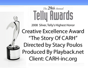 Telly Award winer
